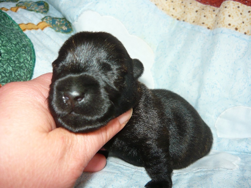 bb enola 10 jours